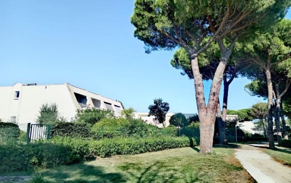 Vente Studio La grande-motte