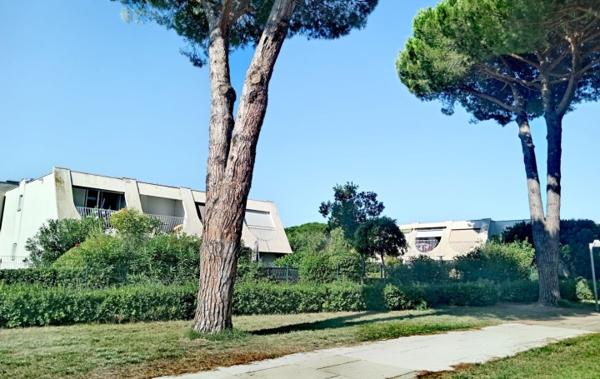 Vente Studio La grande-motte