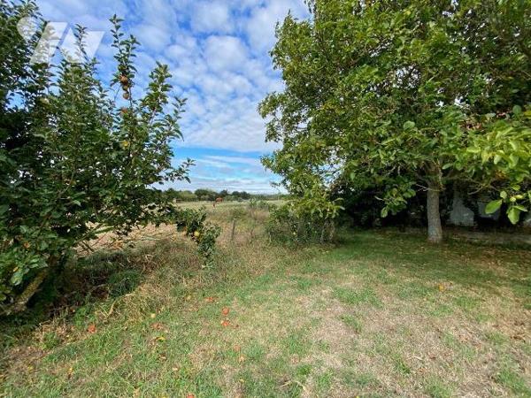 Maison à vendre à Plouha (22580) en Côtes-d'Armor (22)

Vente d'une maison située à Plouha, d...