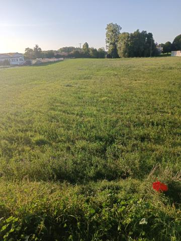Grande parcelle à Bords proche centre