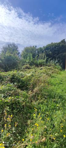 Terrain commercial de 408 m²