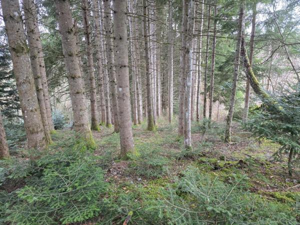 Maison de maître en pierre