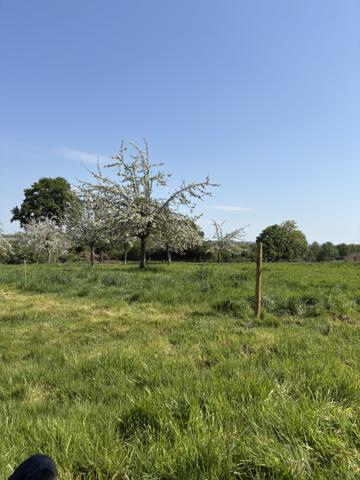 Immeuble à vendre à Tinchebray-Bocage (61800) - Orne