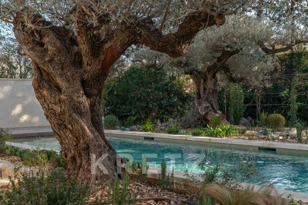 Proche Saint-Rémy-de-Provence Propriété d'exception 265 m2, 5 chambres