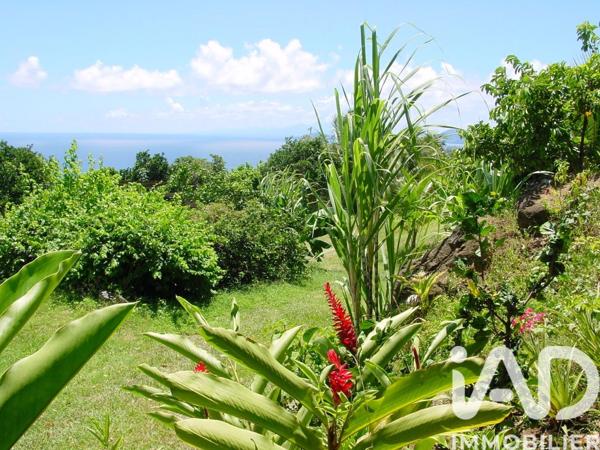 Immeuble à vendre 1 148 m² Trois-Rivières