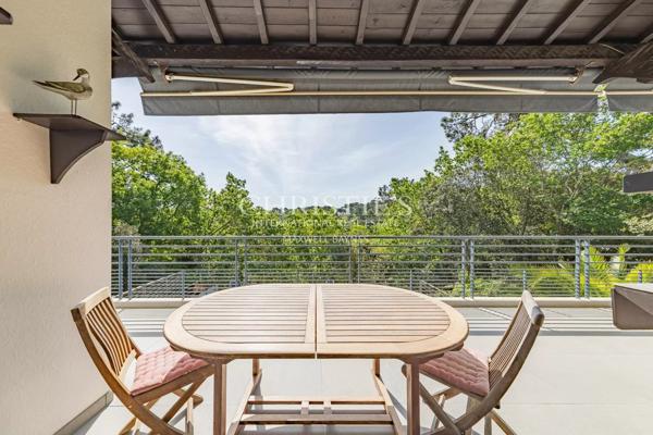 Charmante Villa vue foret au calme absolu