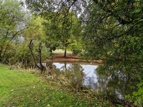 Maison 6 pièces - 157 m² Exclusivité efficity