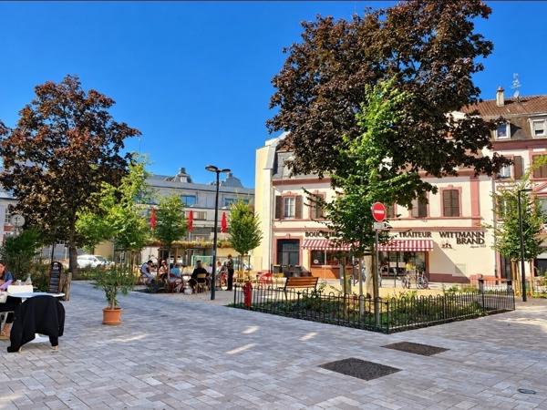 F2 CAVE JARDIN PRIVATIF MULHOUSE FONDERIE