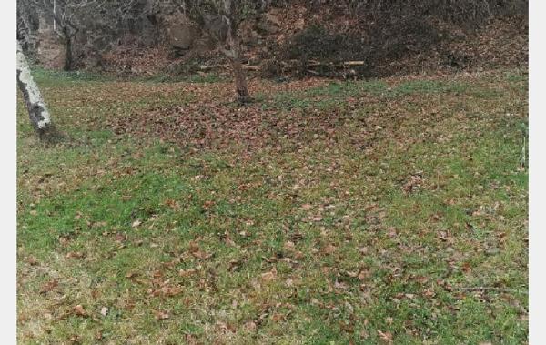 Vente Local commercial Local Aixe-sur-vienne   