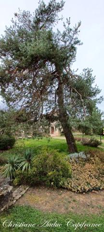 Entre Cluny et Charolles, maison de centre bourg de 180 m² à rénover, sur parcelle de terrain de 508 m²