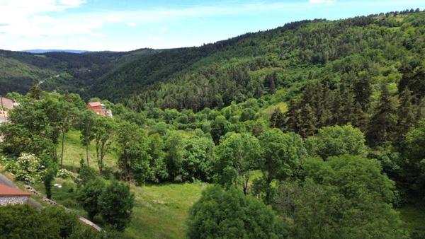 SPLENDIDE CORPS DE FERME ENTIÈREMENT RÉNOVÉ DE 250 M² – MARGERIDE, LOZÈRE (SECTEUR GRANDRIEU)
