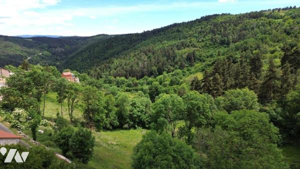 SPLENDIDE CORPS DE FERME ENTIÈREMENT RÉNOVÉ DE 250 M² – MARGERIDE, LOZÈRE (SECTEUR GRANDRIEU)