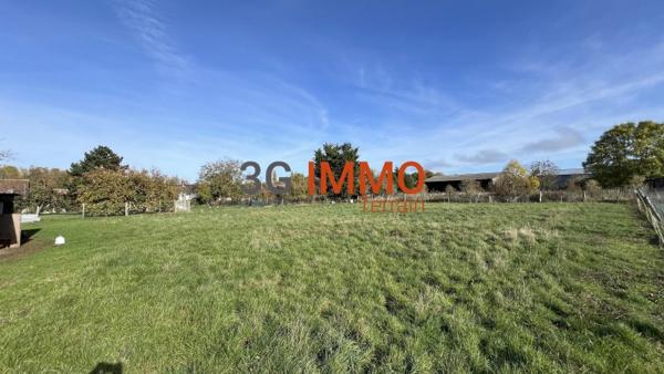 Vente / Terrain