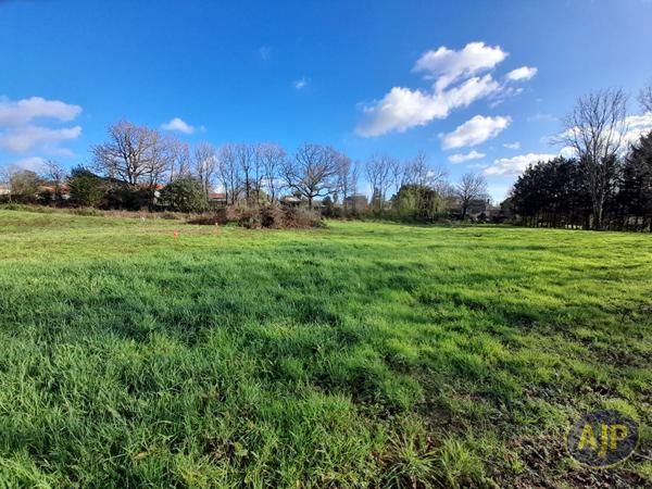 Vente terrain Le Champ Saint Pere : 56 774 € - AJP Immobilier Luçon