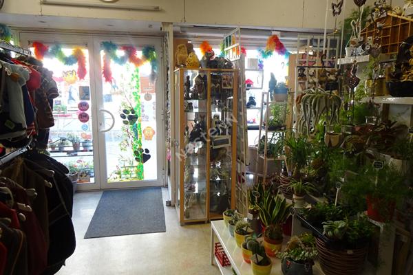 ROCHEFORT Hyper Centre : Fond de commerce- 135 m² dont réserve et cour privative