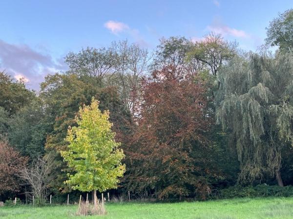 Domaine d 'exception à 25 minutes de Caen