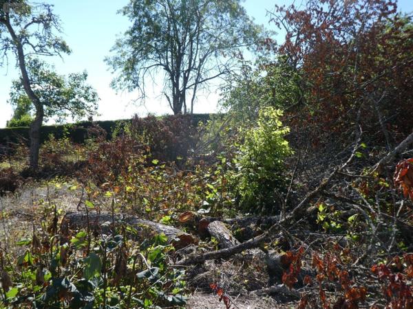 Terrain à Batir à vendre à Beaumont-les-Autels dans l'Eure-et-Loir (28480), ref : 34 TABL   
BOURG