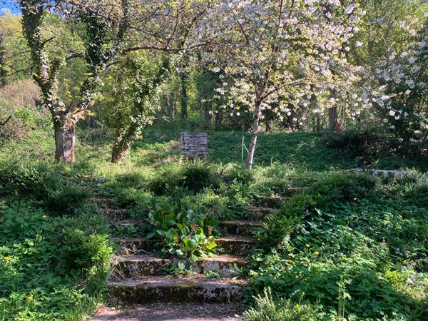 Maison 145 m² Avanne ? Grand terrain arboré de 2288 m² ? Fort potentiel