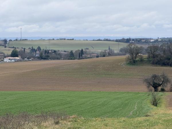 Vente / Terrain constructible