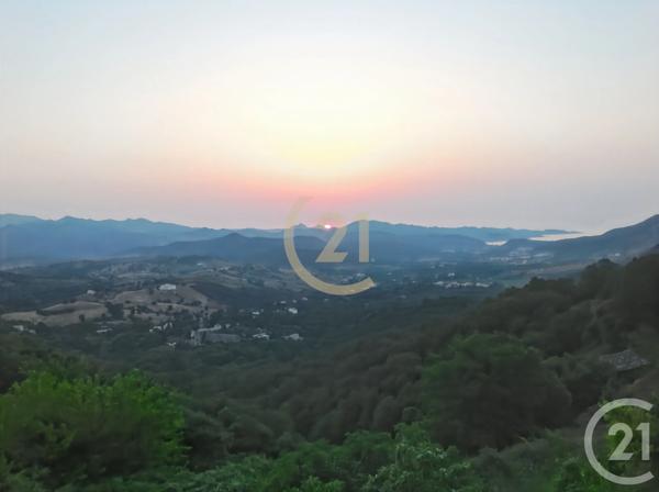 Maison à vendre  4 pièces - 280 m 2   OLETTA  - 202
