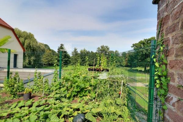 En EXCLUSIVITE CHEZ NESTENN ILLKIRCH APPARTEMENT DANS UNE MAISON AU CALME