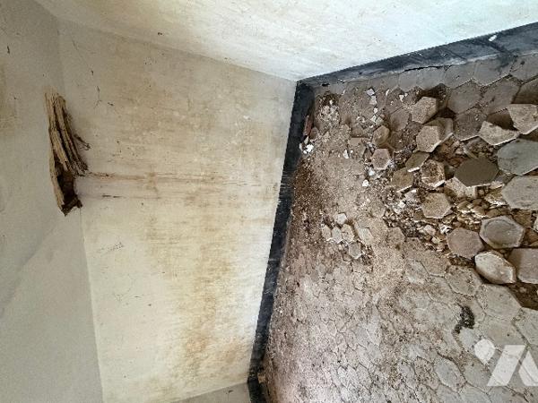 A SEES - une maison d'habitation à rénover (66m²) avec grandes dependances