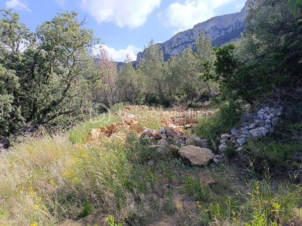 Terrain de 5 230 m²