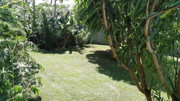 Harmomie & perspective