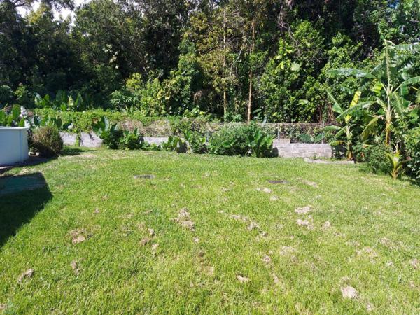 Harmomie & perspective