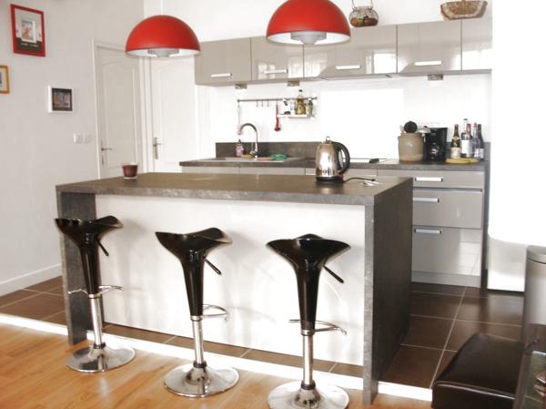 Lyon (69001) Grand appartement T2 de 78m² à Lyon 1