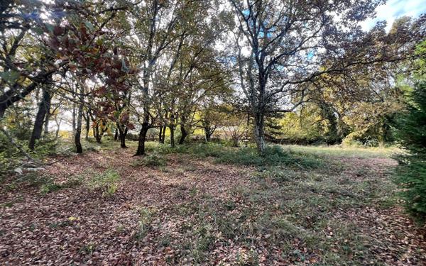 Terrain à vendre    Barjac