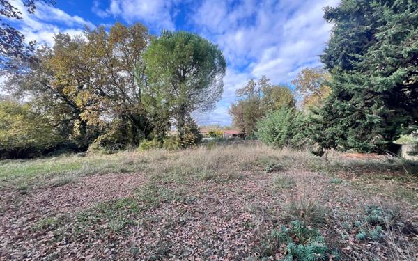 Terrain à vendre    Barjac