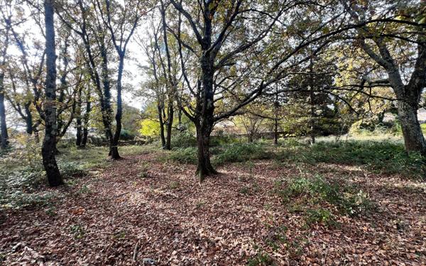 Terrain à vendre    Barjac