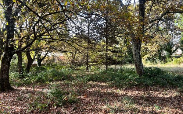 Terrain à vendre    Barjac