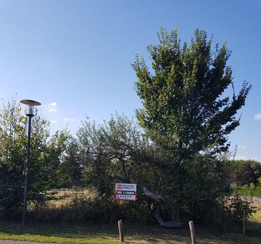 Terrain La Cour Marigny 1 313  m2