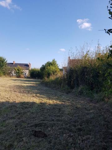 Terrain La Cour Marigny 1 313  m2