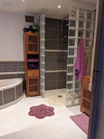 Maison à vendre à Beaugency dans le Loiret (45190), ref : 094/218