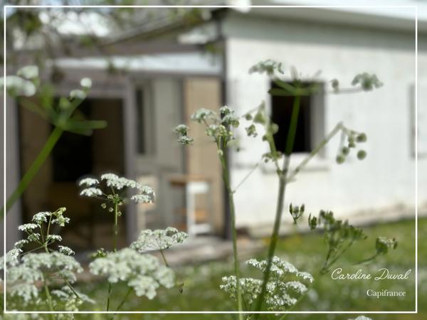 Dpt Gironde (33), à vendre SAINTE EULALIE Maison plain-pied, 3 chambres, terrain 1000m2