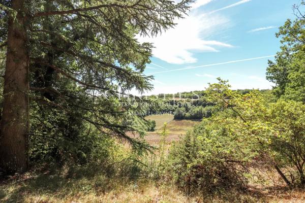 Château avec une tour et une maison d’ami, entouré de jardins faciles à entretenir