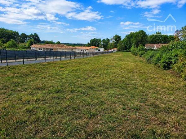 Découvrez ce superbe terrain constructible de 2 300 m² situé à Saint-Savin(33),
