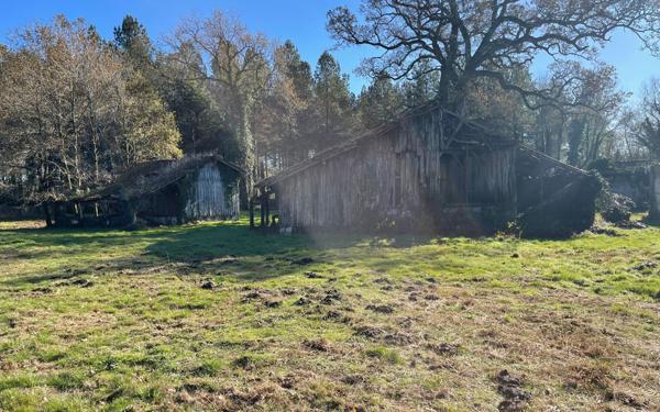 Maison à vendre    4 pièces •  Saint-Vincent-de-Paul