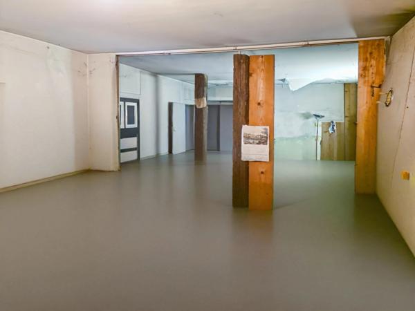 Maison Mitoyenne à Rénover,idéal investisseur, 3 étages et sous sol (39)