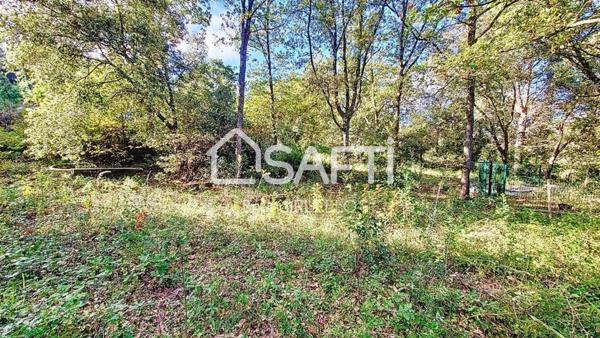 Maison familiale implantée sur 4000 m² à Montesquieu-des-Albères