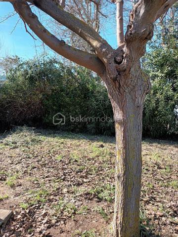 Terrain de loisirs de 335,99 m²