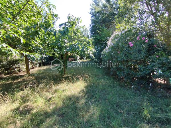 Terrain de loisirs de 335,99 m²