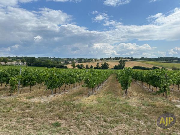 Vente maison Mirambeau : 185 000 € - AJP Immobilier Pons