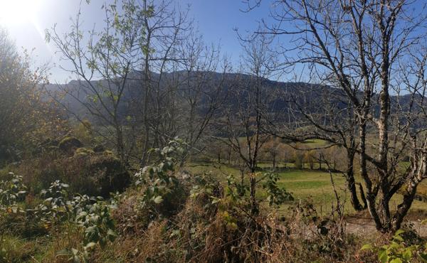 Grange à vendre 2 pièces LE FALGOUX (15)