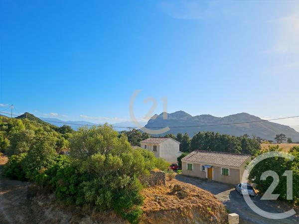 Appartement T2 à vendre  2 pièces - 40,49 m2 PATRIMONIO - 202