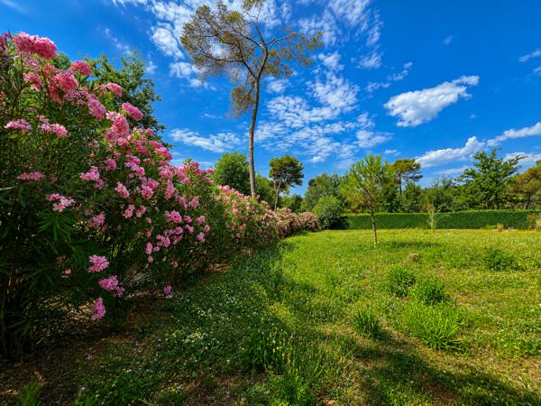 MAISON MOUGINS 500 m² habitables - Terrain 5200 m² - Luxe, volupté et art de vivre