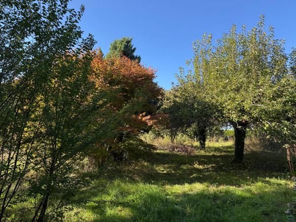 Nichée dans la verdure - 8 pièces à exploiter